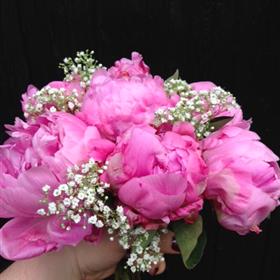 fwthumbbouquet g.jpg